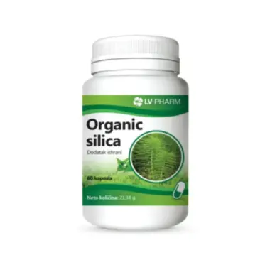Organic silica 60 kapsula